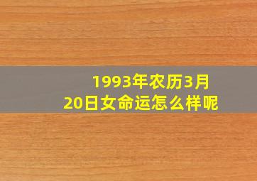 1993年农历3月20日女命运怎么样呢