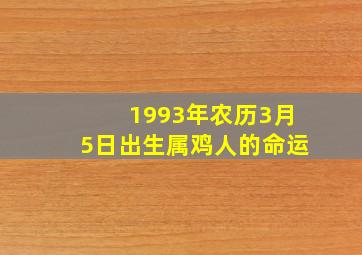 1993年农历3月5日出生属鸡人的命运