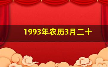 1993年农历3月二十