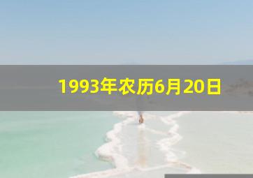 1993年农历6月20日