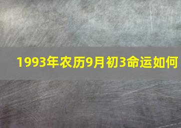 1993年农历9月初3命运如何