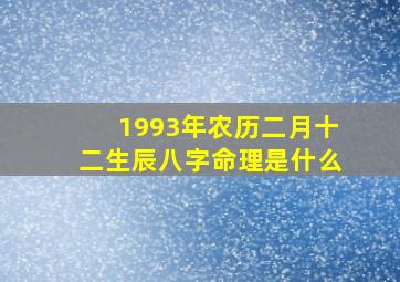 1993年农历二月十二生辰八字命理是什么