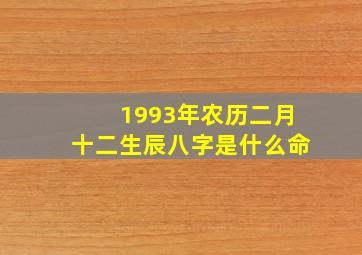 1993年农历二月十二生辰八字是什么命