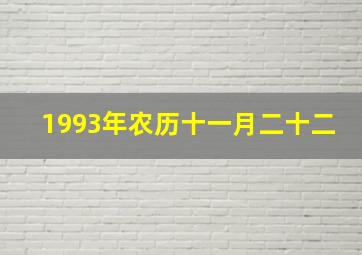 1993年农历十一月二十二