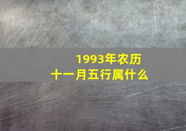 1993年农历十一月五行属什么