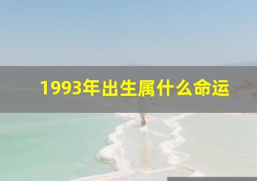 1993年出生属什么命运