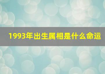 1993年出生属相是什么命运