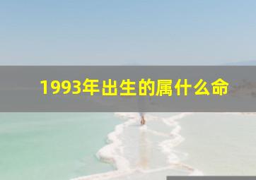 1993年出生的属什么命