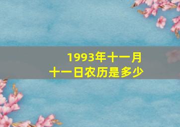 1993年十一月十一日农历是多少