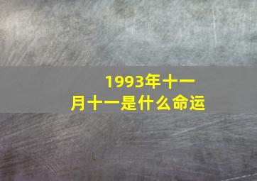 1993年十一月十一是什么命运