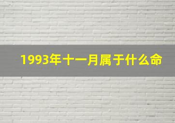 1993年十一月属于什么命