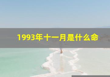 1993年十一月是什么命