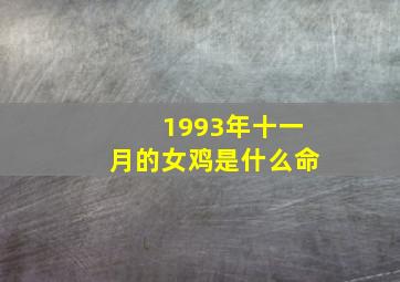 1993年十一月的女鸡是什么命