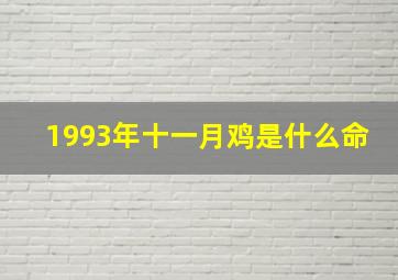 1993年十一月鸡是什么命