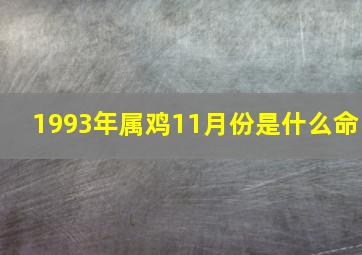 1993年属鸡11月份是什么命