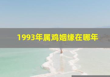 1993年属鸡姻缘在哪年