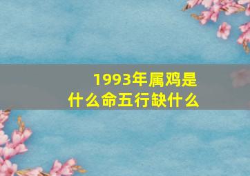 1993年属鸡是什么命五行缺什么