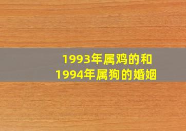 1993年属鸡的和1994年属狗的婚姻