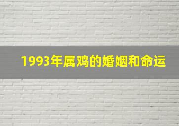 1993年属鸡的婚姻和命运