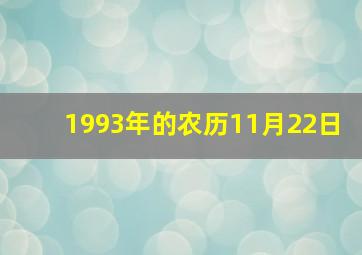 1993年的农历11月22日