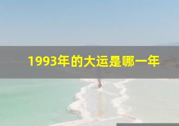 1993年的大运是哪一年