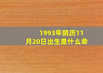 1993年阴历11月20日出生是什么命