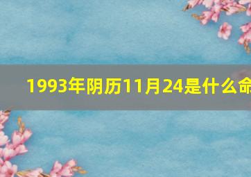 1993年阴历11月24是什么命