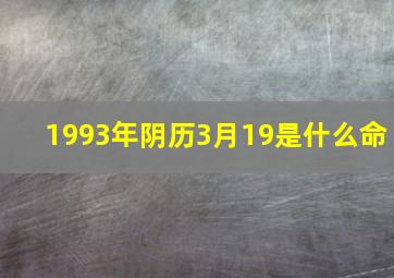 1993年阴历3月19是什么命