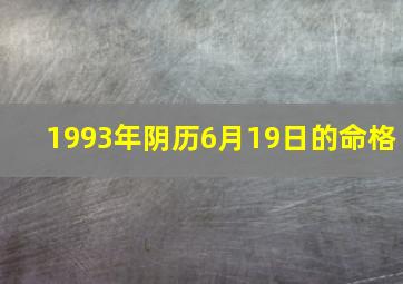 1993年阴历6月19日的命格