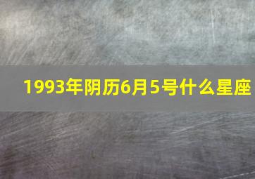 1993年阴历6月5号什么星座