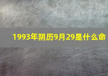 1993年阴历9月29是什么命