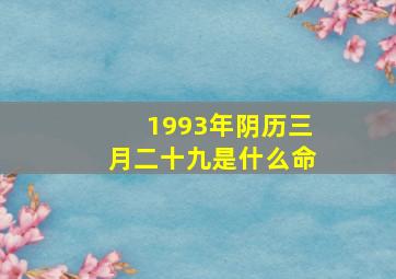 1993年阴历三月二十九是什么命