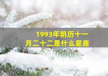 1993年阴历十一月二十二是什么星座