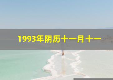 1993年阴历十一月十一