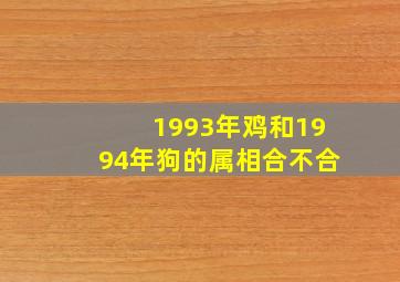 1993年鸡和1994年狗的属相合不合