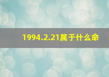 1994.2.21属于什么命