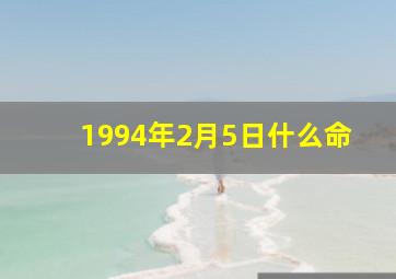 1994年2月5日什么命