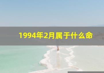 1994年2月属于什么命