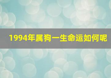 1994年属狗一生命运如何呢