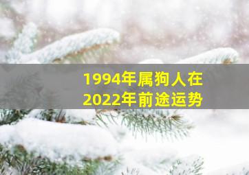 1994年属狗人在2022年前途运势