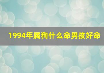 1994年属狗什么命男孩好命