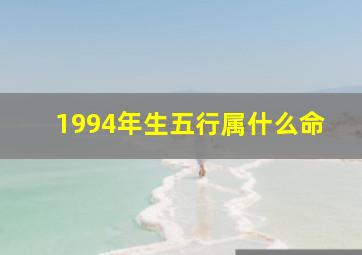 1994年生五行属什么命