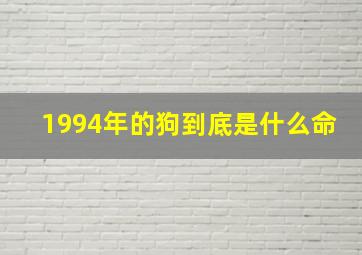 1994年的狗到底是什么命