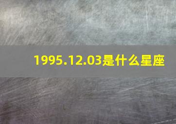 1995.12.03是什么星座