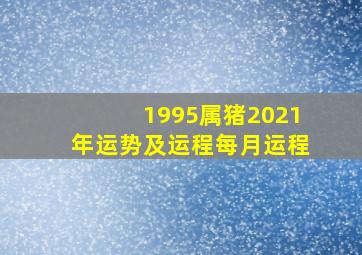 1995属猪2021年运势及运程每月运程