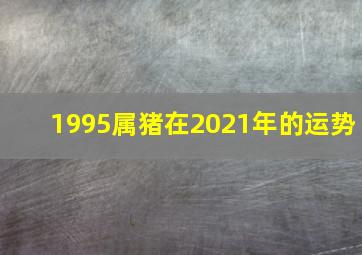 1995属猪在2021年的运势