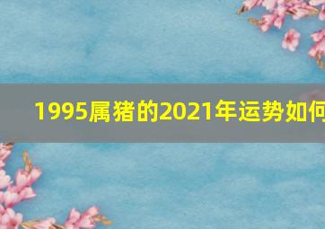 1995属猪的2021年运势如何