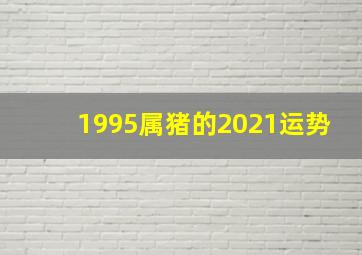 1995属猪的2021运势