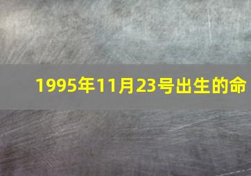 1995年11月23号出生的命