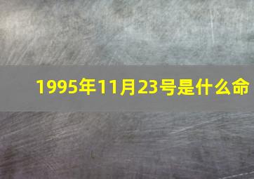 1995年11月23号是什么命